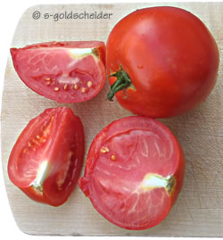 Runde: Phytoresista