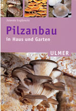 Bestellen Sie dieses Buch direkt beim Verlag