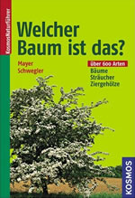 bestellen Sie dieses Buch